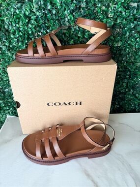 COACH Franny Brown Leather Strappy Gladiator Sandals NIB Size 11